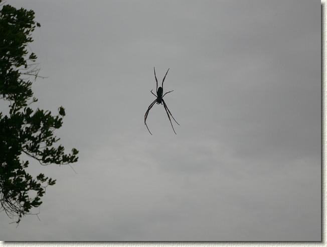 Nächstes Bild